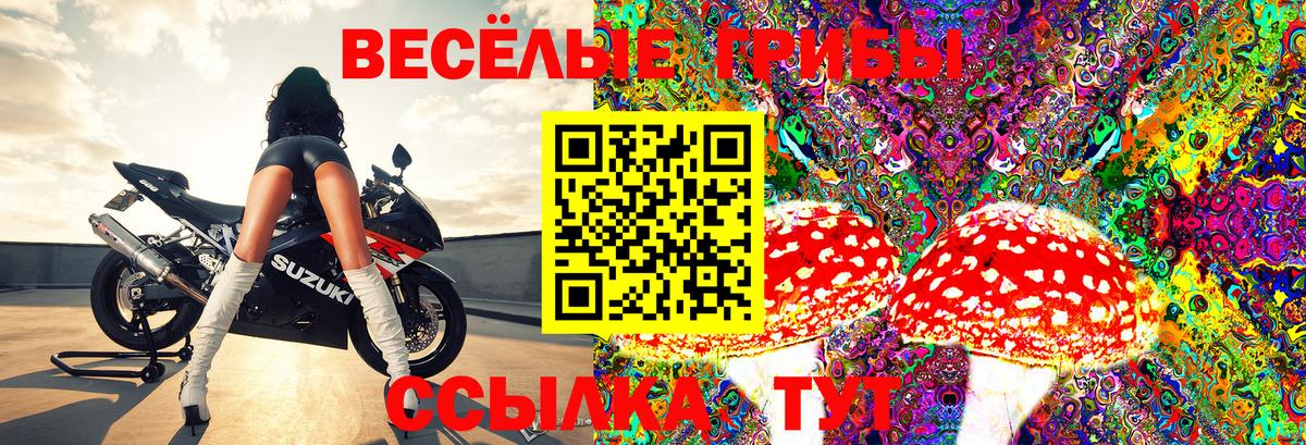 Троицк  Галлюциногенные грибы прущие грибы  Вход с VPN  Галлюциногенные грибы Magic Shrooms 